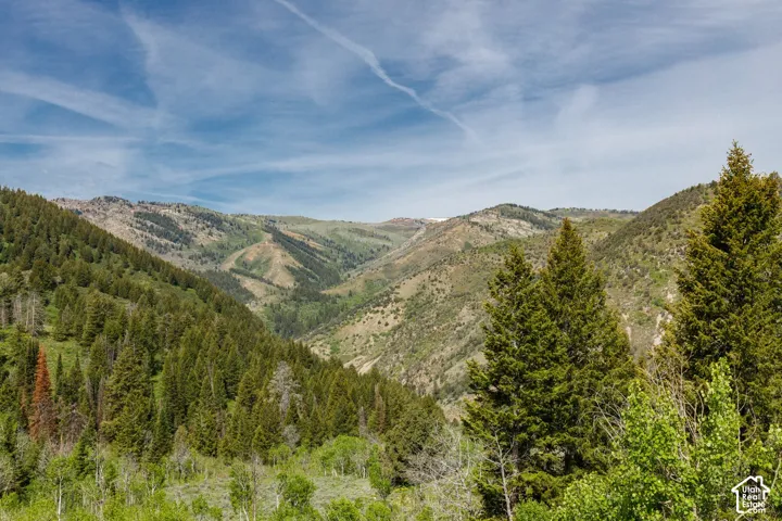 View of mountain background
