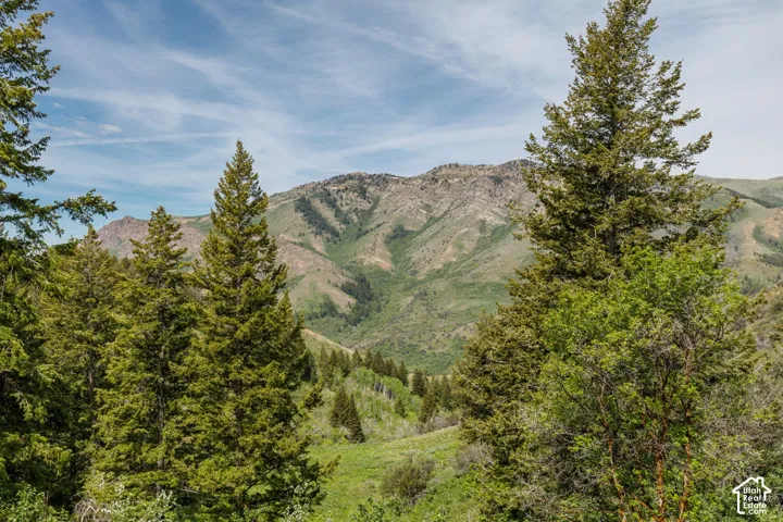 View of mountain backdrop