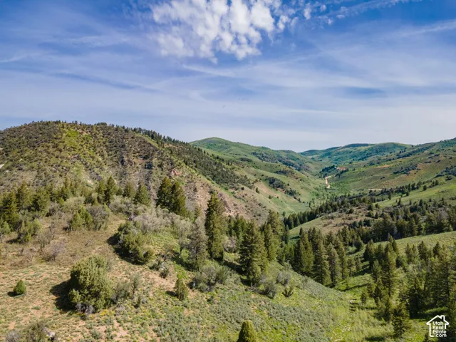 Expansive mountain landscape featuring varied terrain and abundant tree coverage