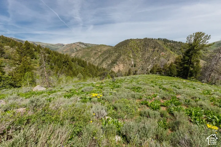 View of mountain background