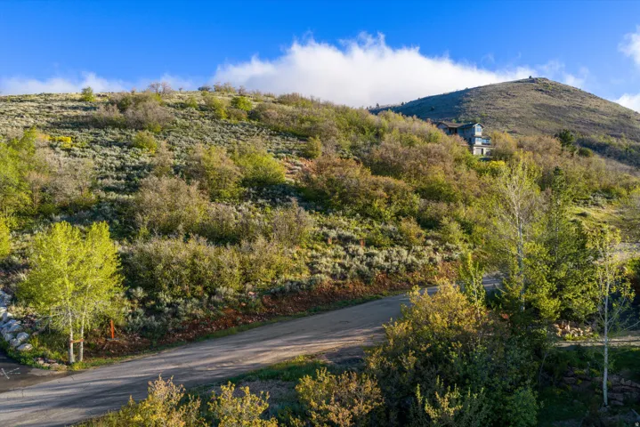 Hillside property featuring natural landscaping and a winding paved road