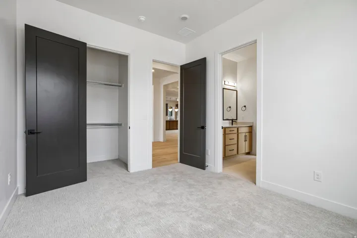 Plush carpeting, a built-in closet with shelving, dark panel doors, and a light-toned wood-finish vanity with a framed mirror and wall-mounted lighting