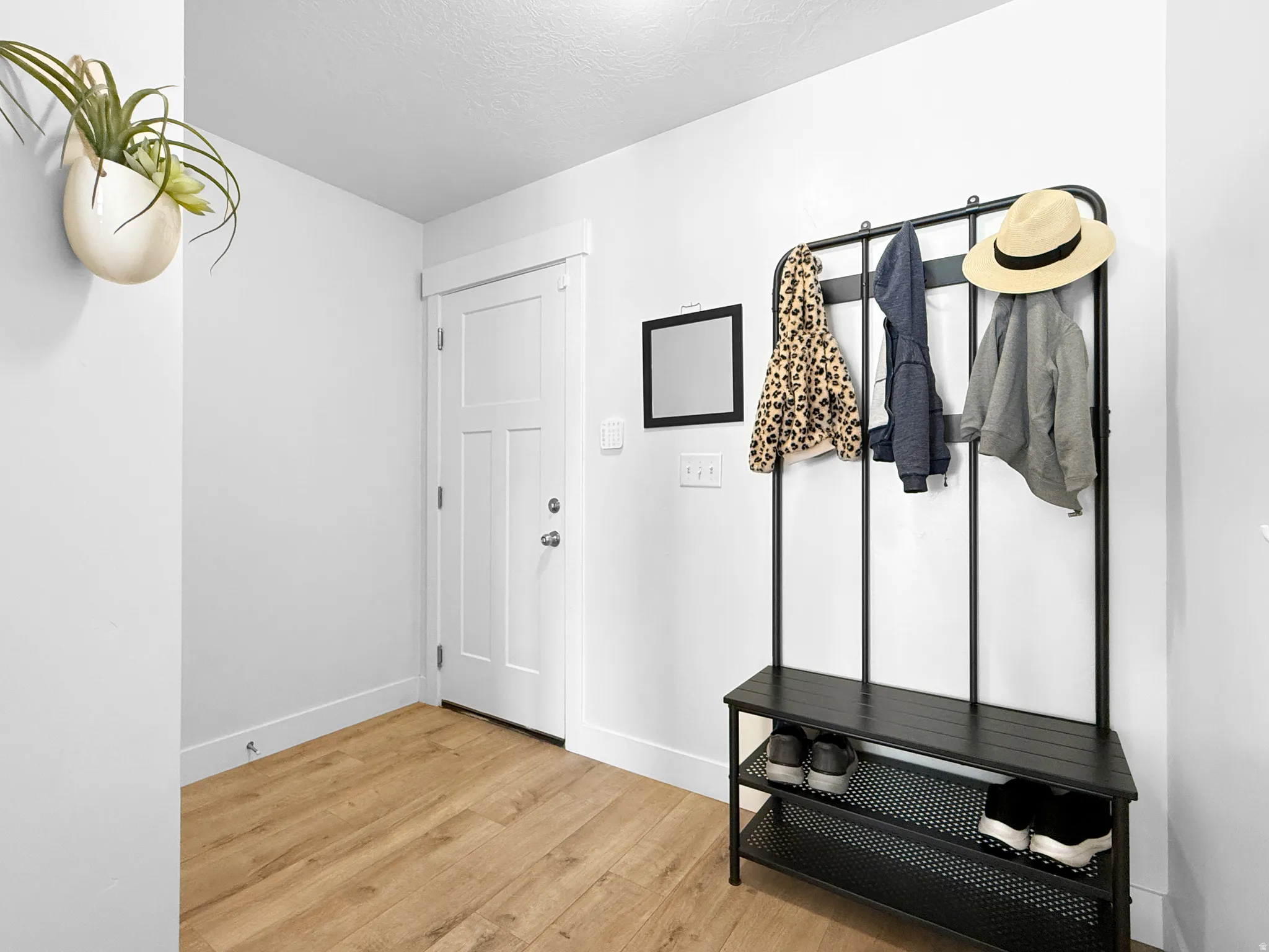 Entryway featuring wood-finish flooring and a white paneled door