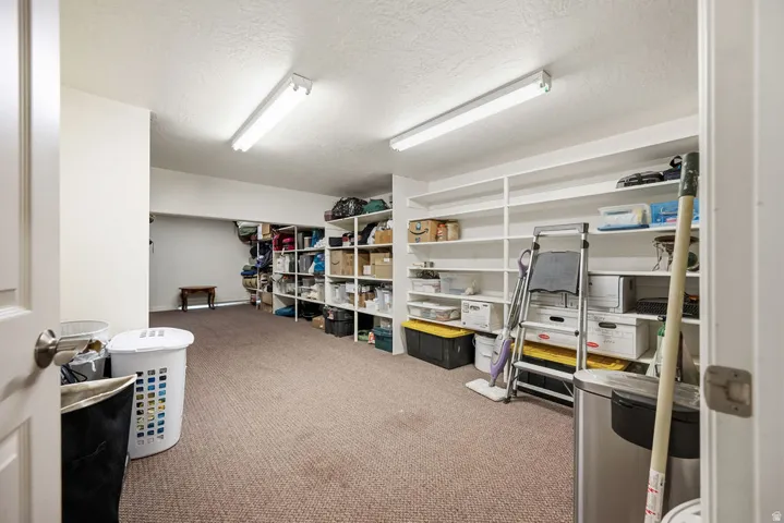 Above garage storage. Spacious room featuring extensive built-in shelving, carpet flooring, and ceiling-mounted fluorescent lighting