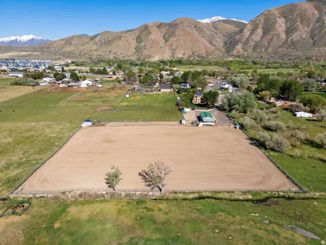 Expansive outdoor arena featuring a sand surface, perimeter fencing, and two mature trees