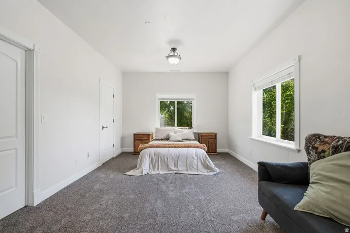 Carpeted room featuring a ceiling-mounted light fixture, two windows with white trim, and white baseboards