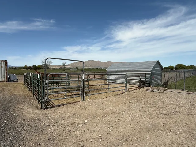 Horse corals Metal fencing enclosing a corral area with a corrugated metal outbuilding