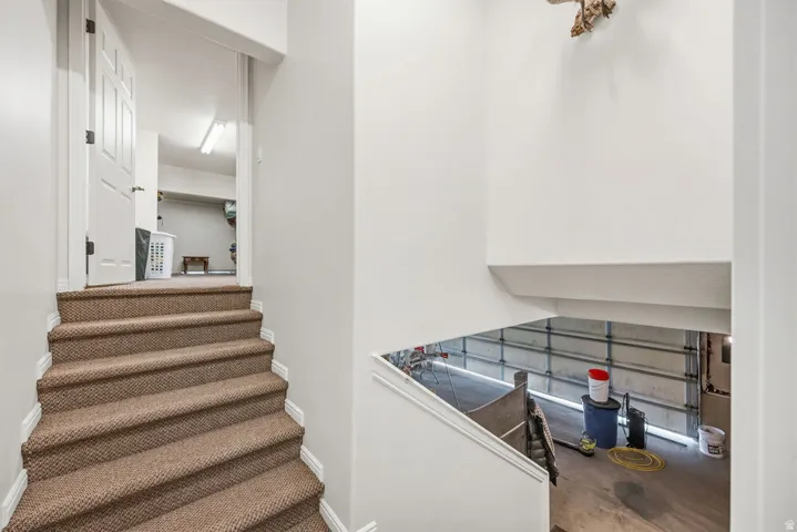 Stairs to extra storage above garage  featuring carpeted treads and white risers