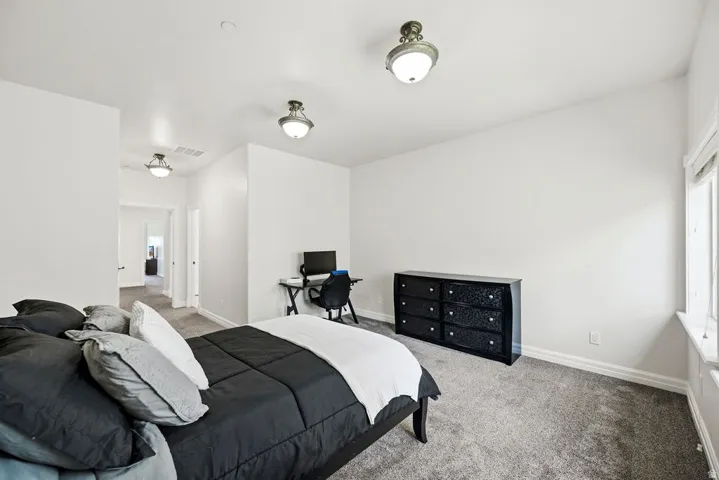 Carpeted room featuring a window with white trim, white walls, and three ceiling-mounted light fixtures