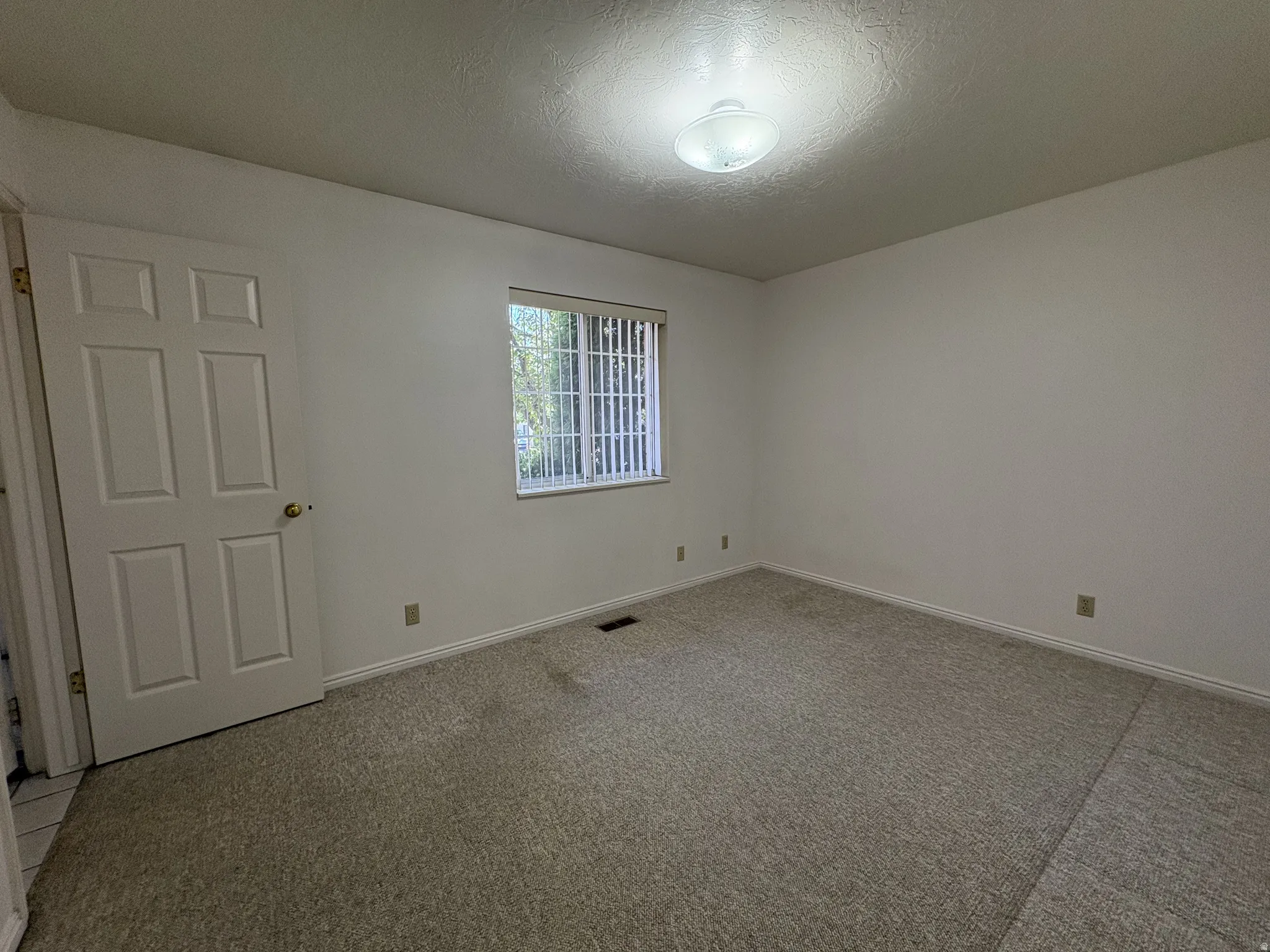 Carpeted room featuring a white paneled door, a single window with vertical blinds, and a flush-mount ceiling light