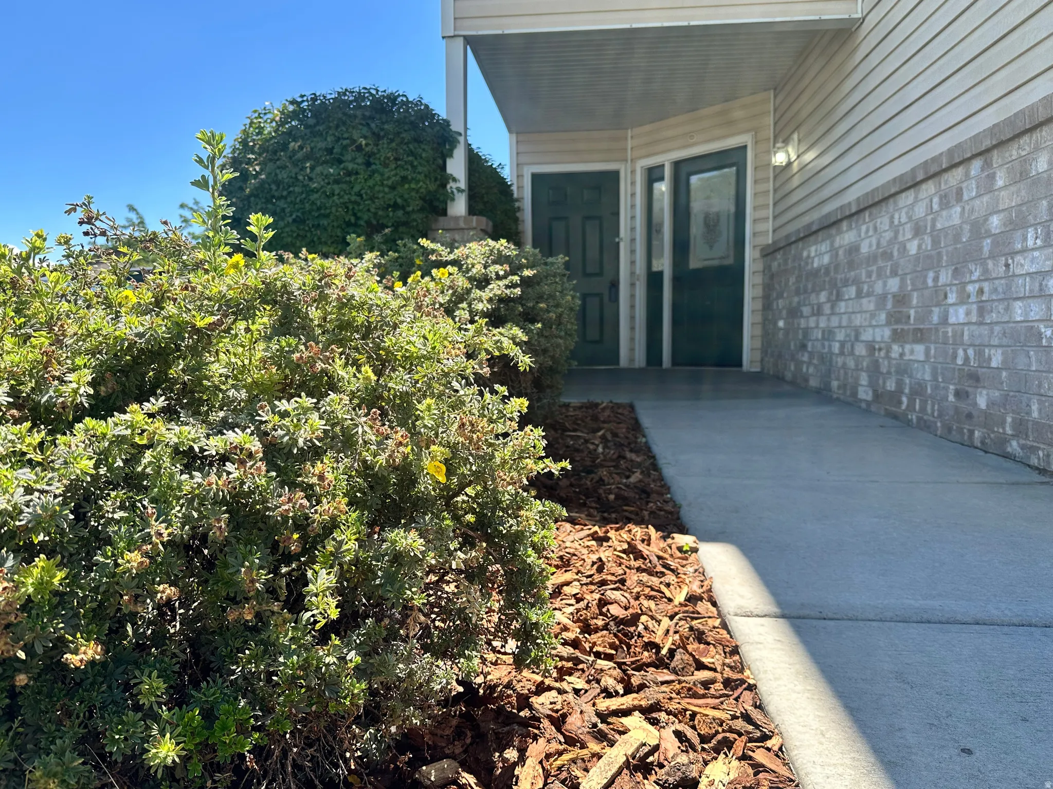 Siding exterior with a brick foundation, concrete walkway, and landscaped shrubs with bark mulch