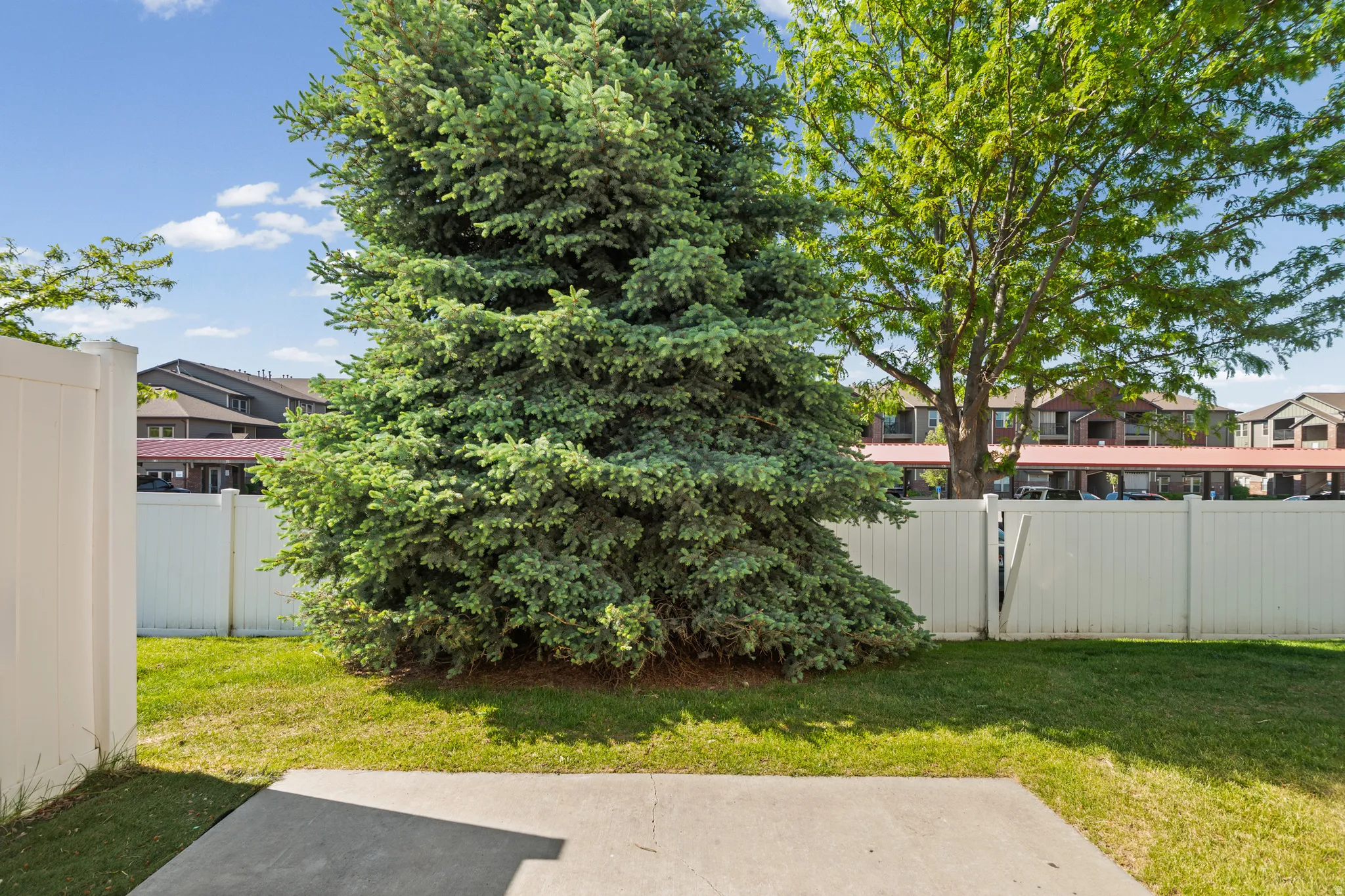 Private outdoor patio area with concrete slab, enclosed by white privacy fencing