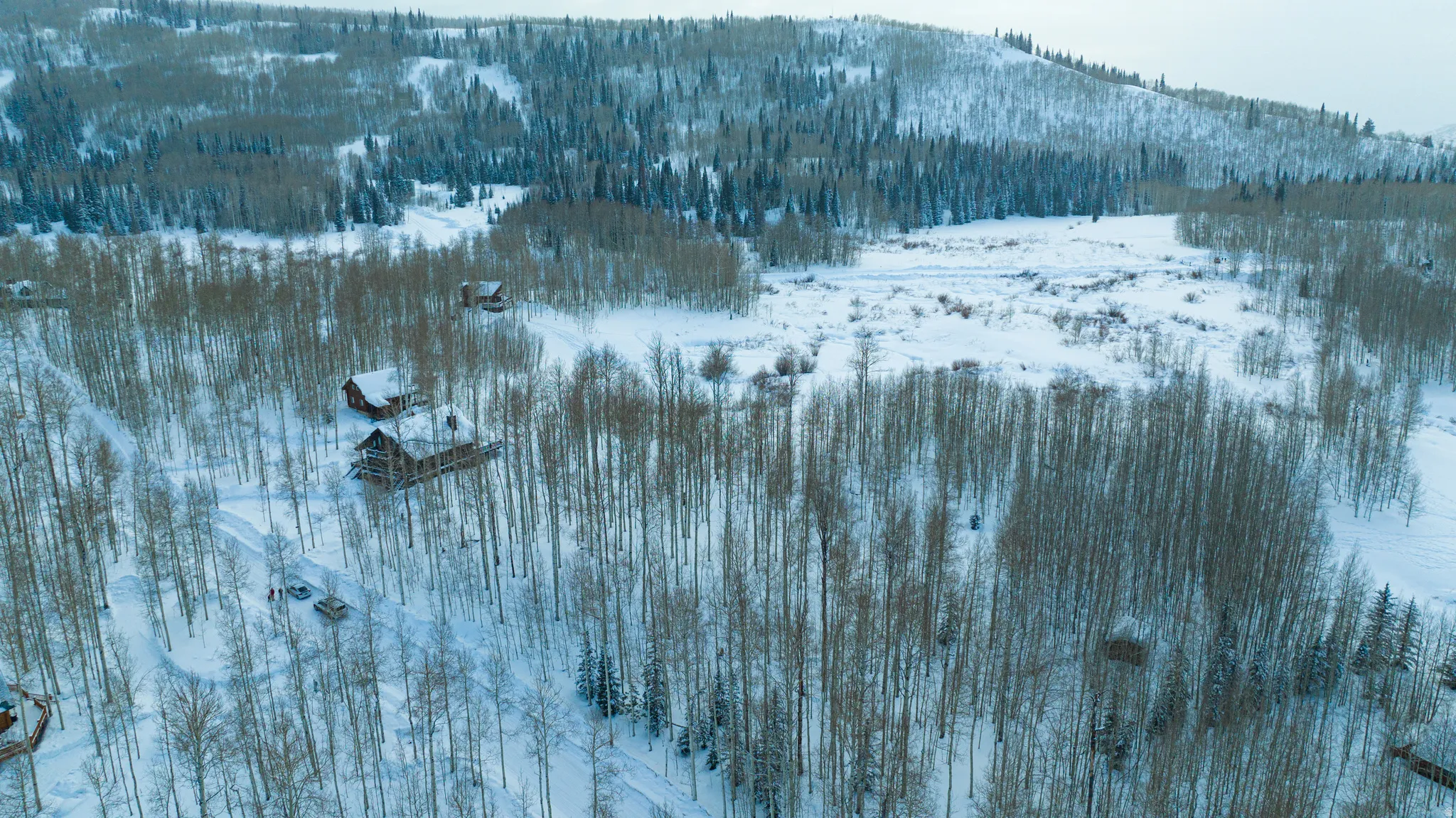 Wood-clad residences nestled within a snow-covered landscape, surrounded by extensive deciduous and evergreen trees