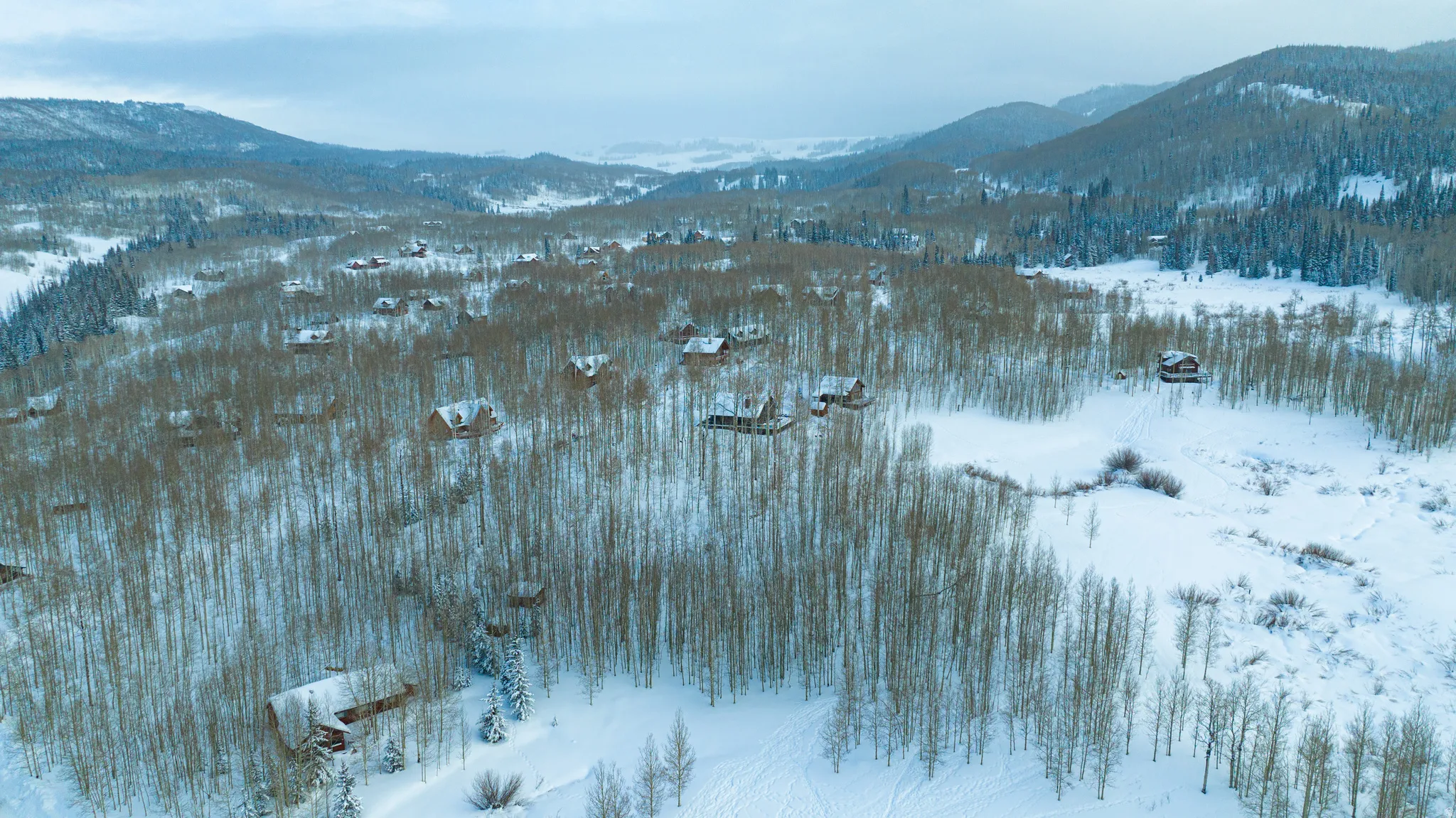 Snow-covered landscape featuring numerous residential structures nestled among deciduous trees