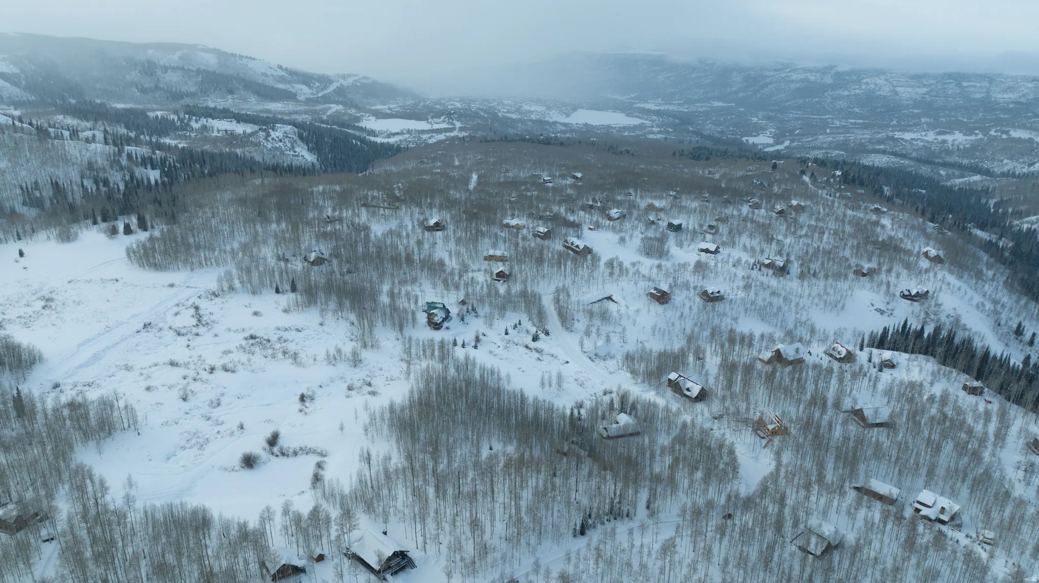Snow-covered mountain landscape featuring numerous properties nestled among deciduous and evergreen trees