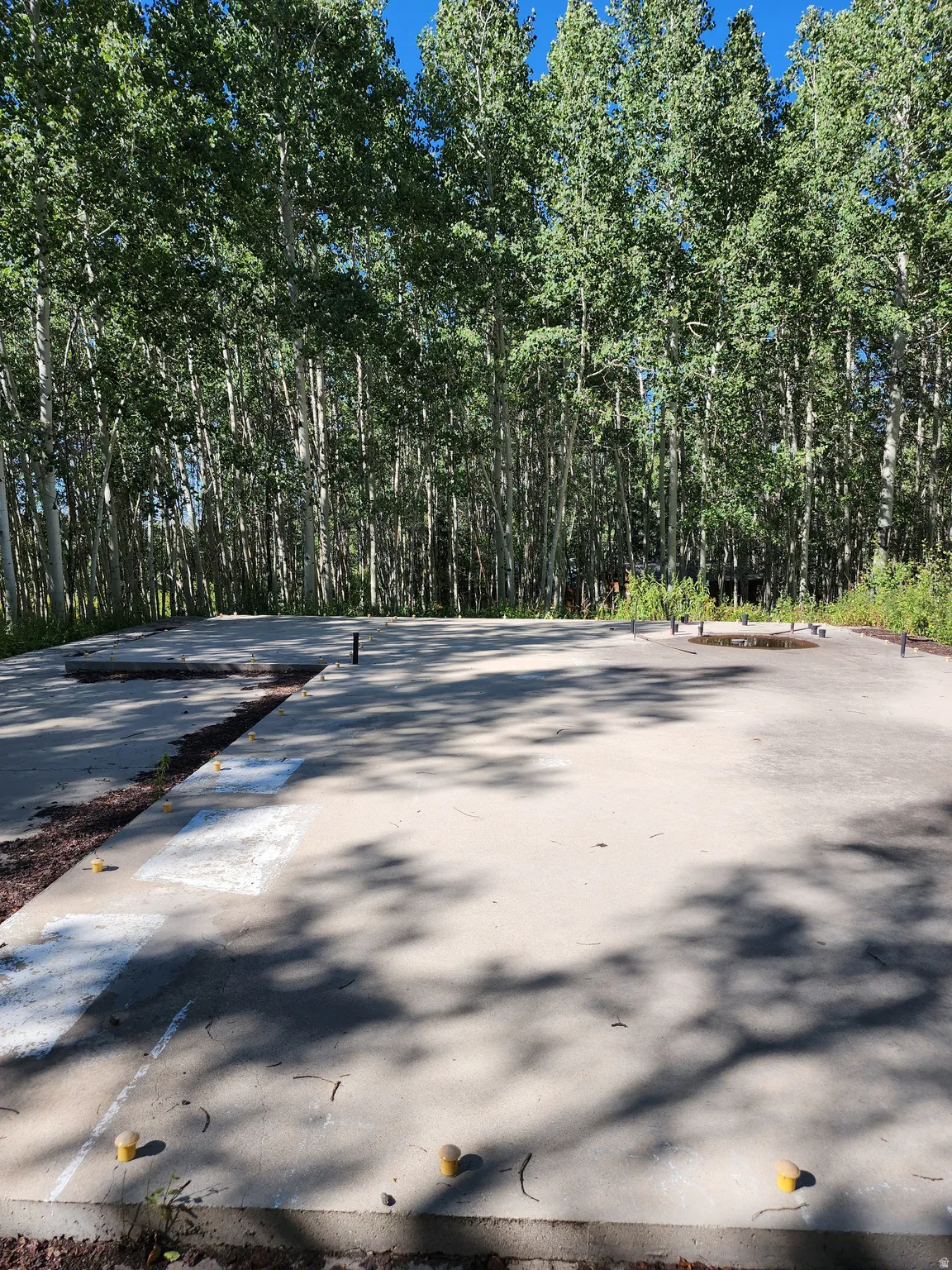 Concrete pad with a wooded perimeter