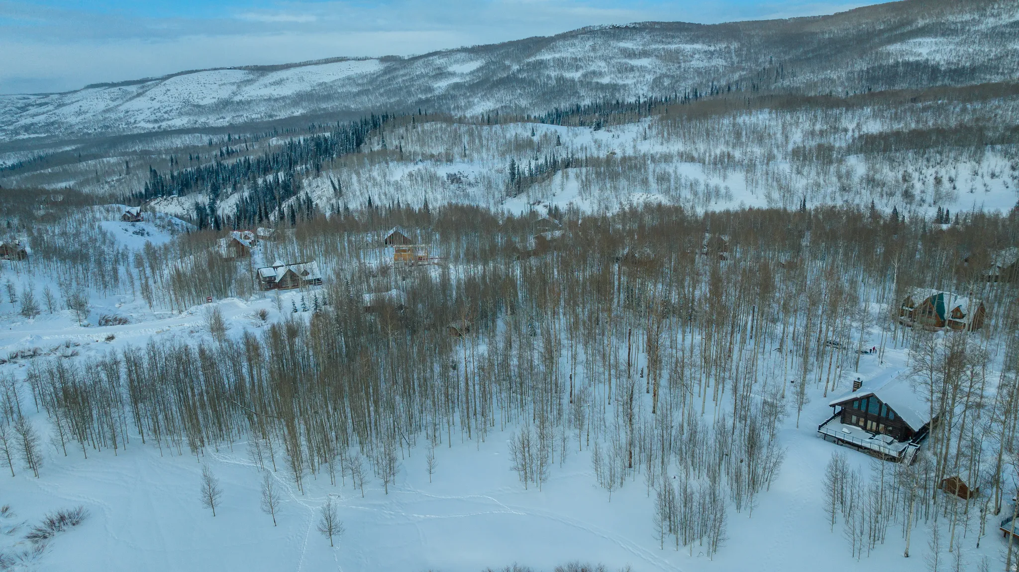 Mountainous landscape featuring snow-covered terrain and scattered deciduous trees