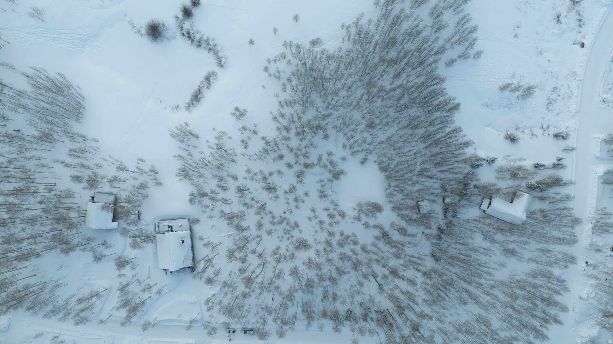 Aerial perspective showcasing multiple snow-covered structures nestled among a dense cluster of trees