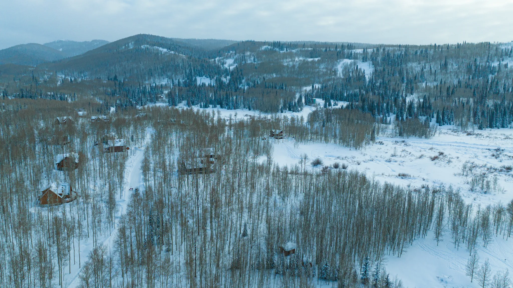 Winter landscape featuring scattered residential structures amidst snow-covered deciduous and evergreen trees