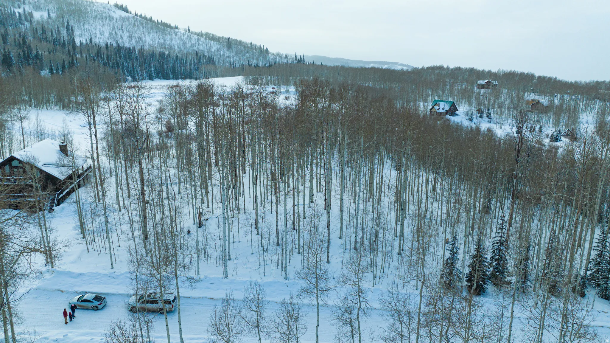 Expansive snow-covered landscape featuring a rustic log cabin, dense bare deciduous trees, and distant evergreen forests