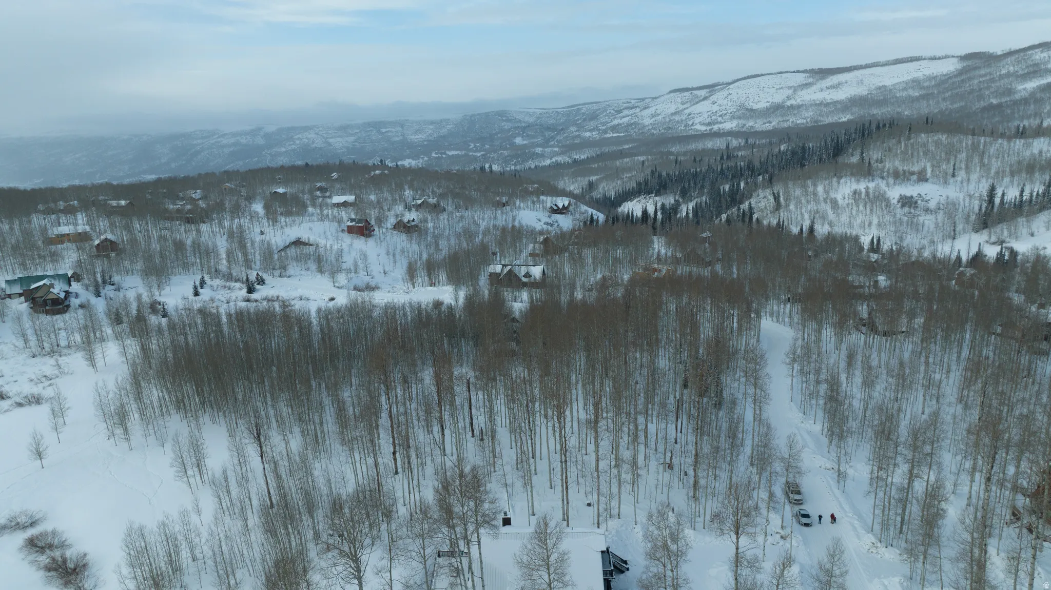 Snow-covered landscape featuring numerous deciduous trees and scattered residences