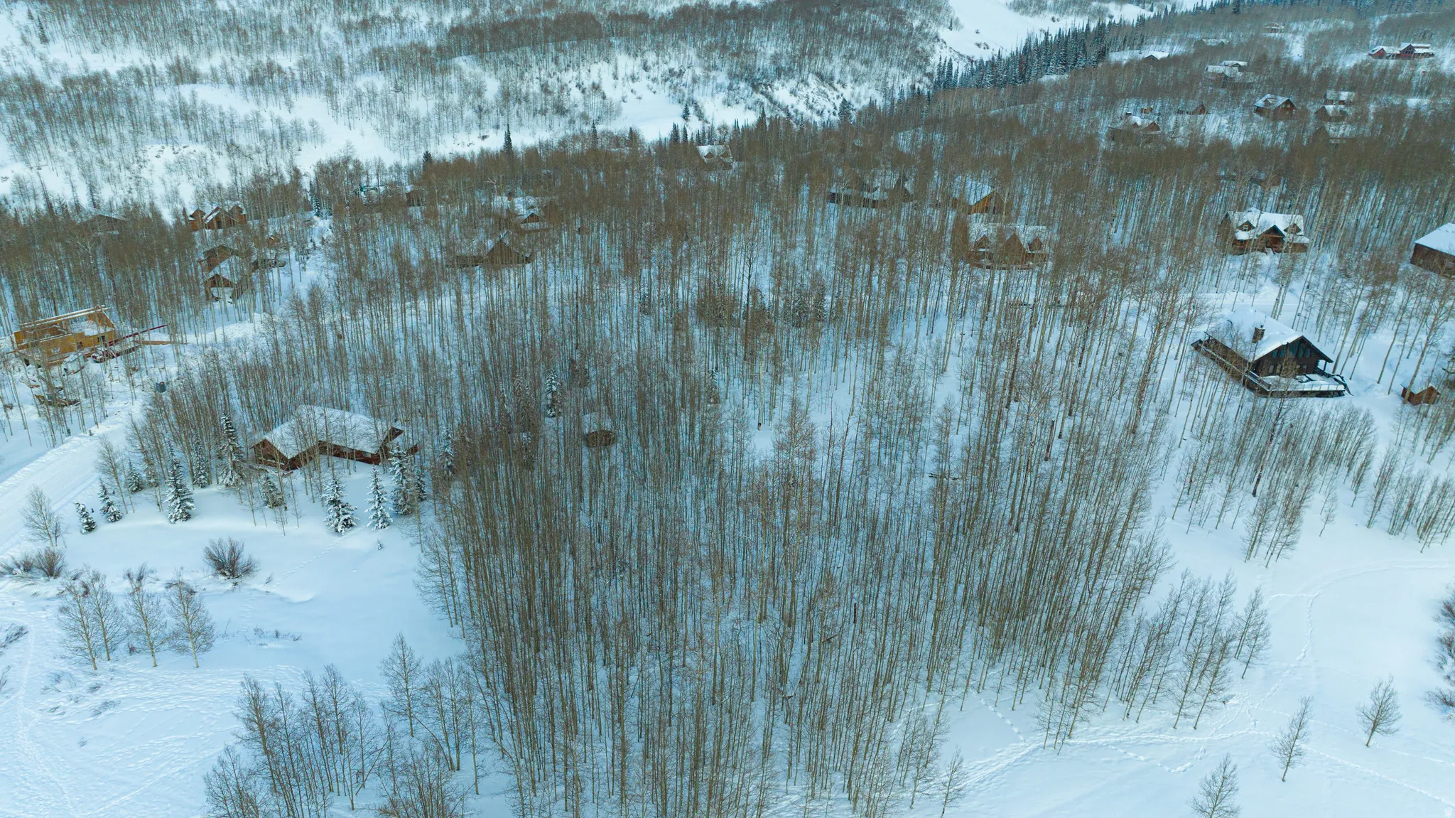 Snow-covered mountain terrain featuring a dense forest of deciduous trees and scattered residences