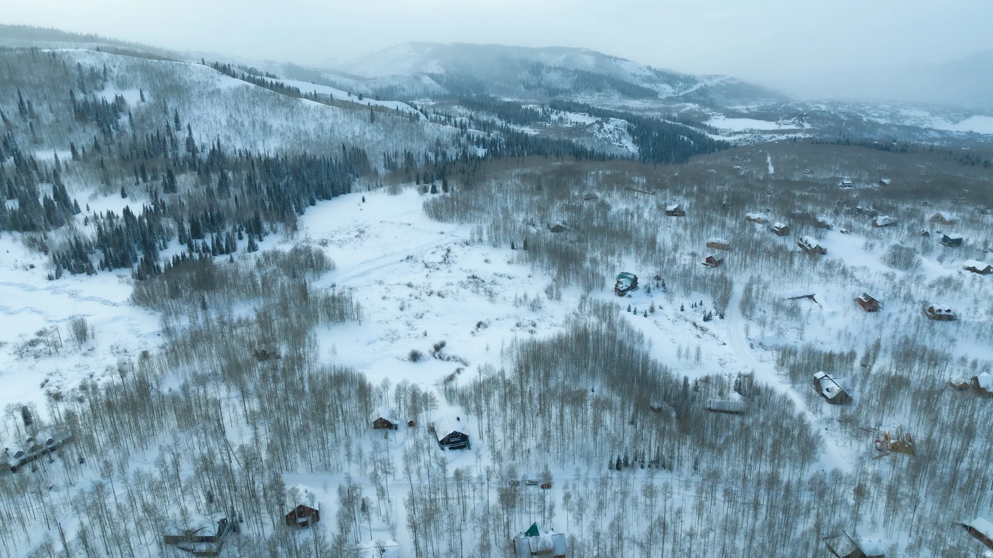 Snow-covered mountain landscape featuring a cluster of homes nestled among deciduous trees