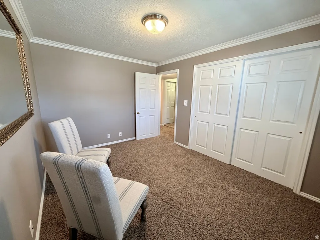 Carpeted room featuring neutral-toned walls, white crown molding, and two white six-panel bifold closet doors
