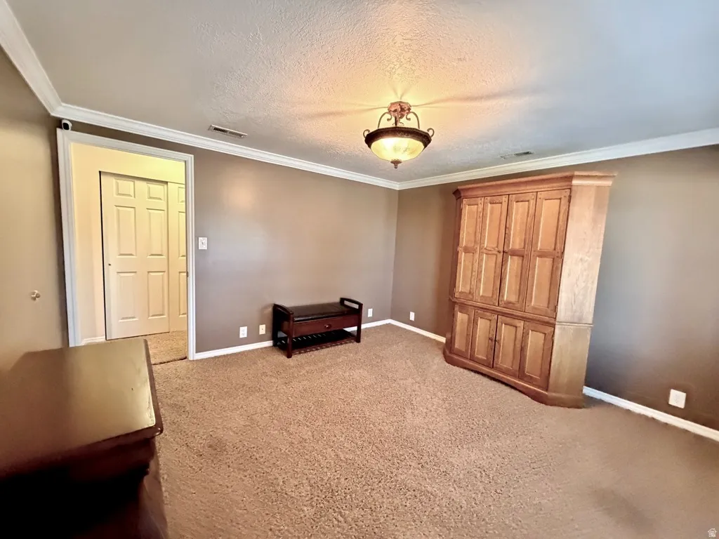 Warm-toned walls with contrasting white crown molding and baseboards