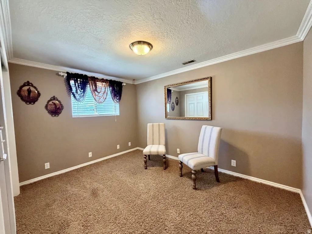 Carpeted room featuring a single window with blinds, crown molding, a ceiling-mounted light fixture, and baseboards