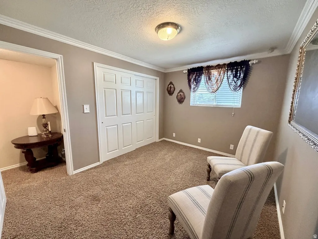Carpeted room with a double-door closet featuring white panel doors