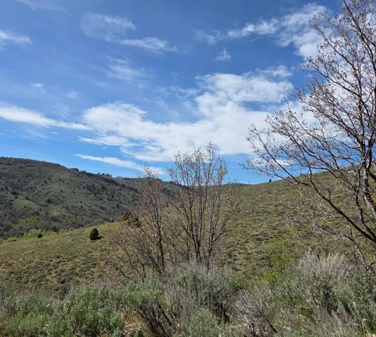 Expansive hillside land featuring natural vegetation and distant mountain ranges under a clear sky