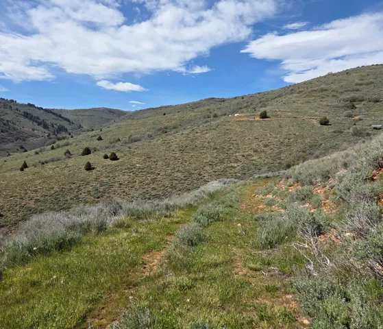 Expansive natural landscape featuring rolling hills and varied vegetation