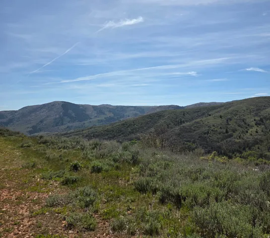 Expansive natural landscape featuring rolling hills and distant mountains under a clear sky