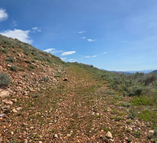 Sloping terrain featuring a gravel path, scattered rocks, and low-growing green vegetation