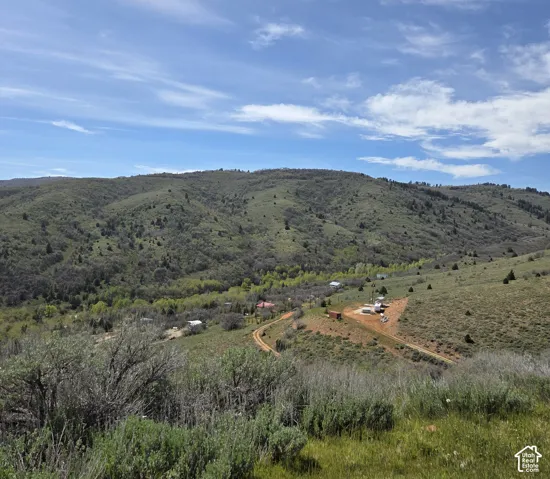Expansive mountain landscape featuring varied green foliage and clear blue skies