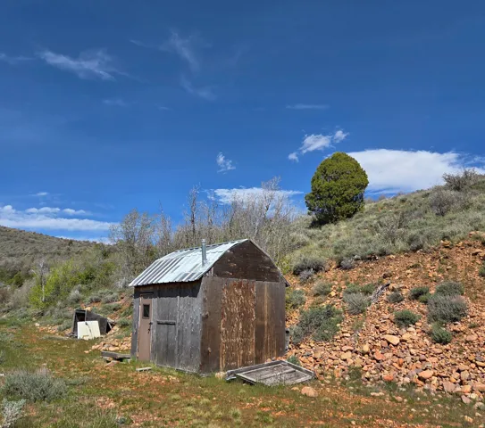 Rustic outbuilding with wood siding and a corrugated metal roof