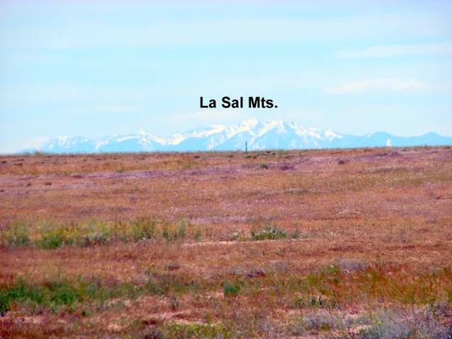 Expansive open land with a distinct mountain range on the horizon under a clear sky