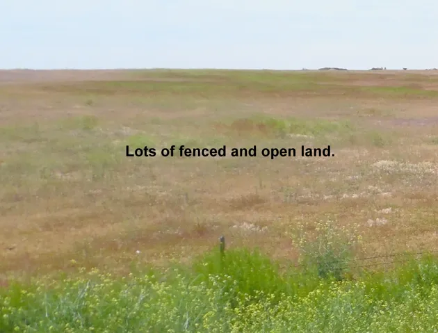 Fenced area.