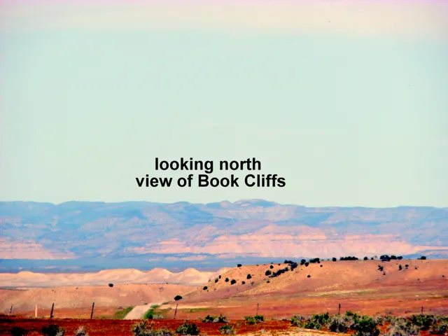View of the Book Cliffs from this property.