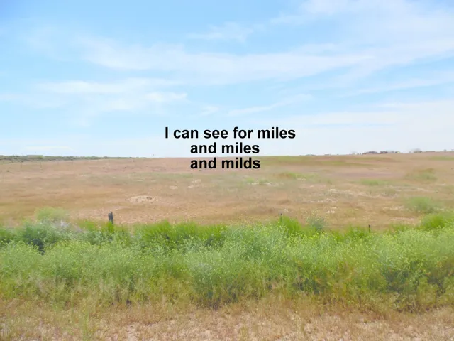 I can see for miles and miles.