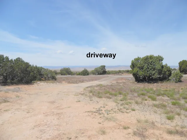 Expansive undeveloped parcel featuring a dirt driveway, scattered natural foliage, and distant rolling terrain