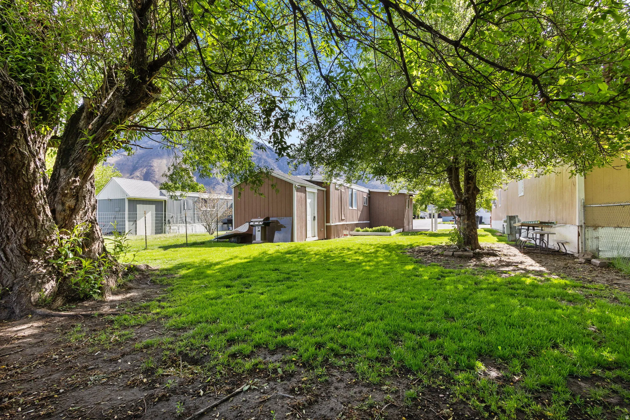 Expansive green lawn framed by mature trees, and a shed