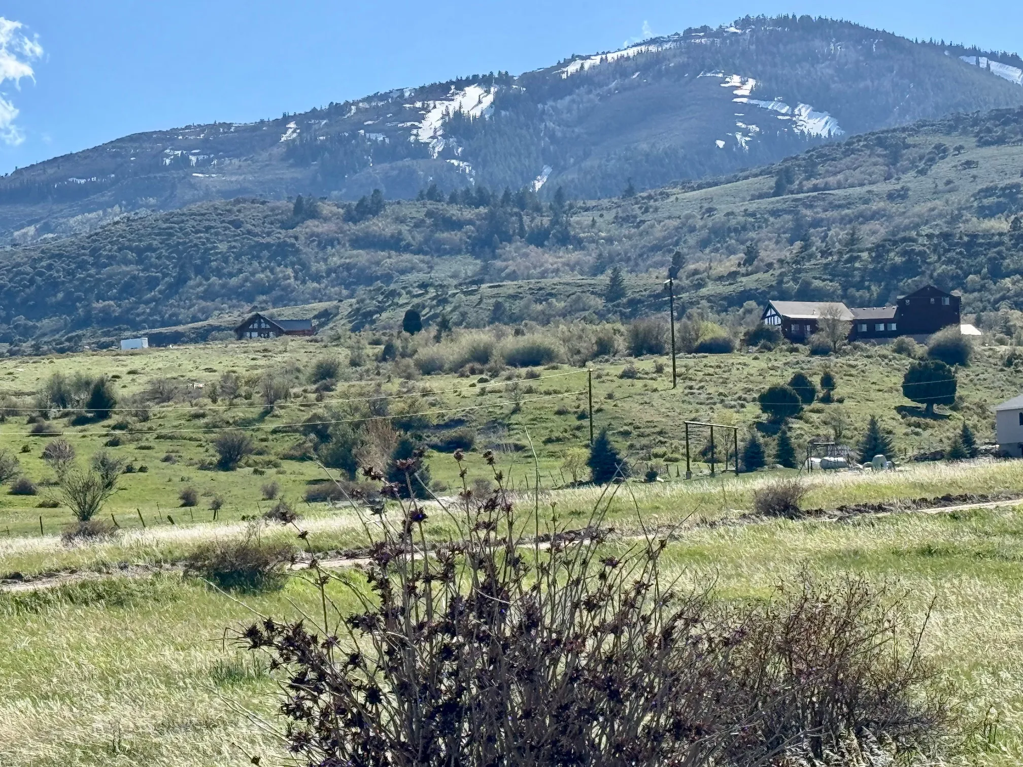 Property view to the west rolling green hills with scattered trees under a blue sky.
