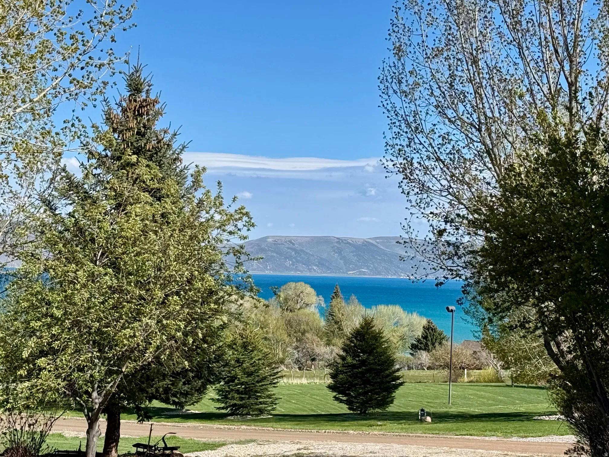 Lake View property featuring a manicured lawn, mature trees, and distant mountain ranges