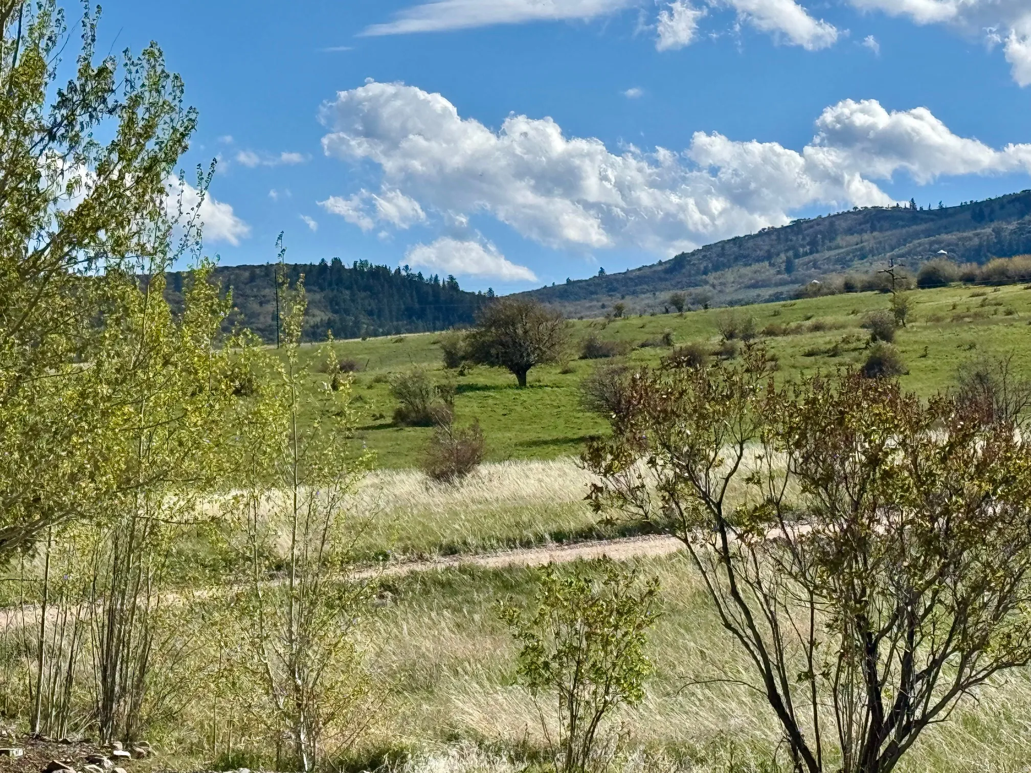 Property view to the west rolling green hills with scattered trees under a blue sky.