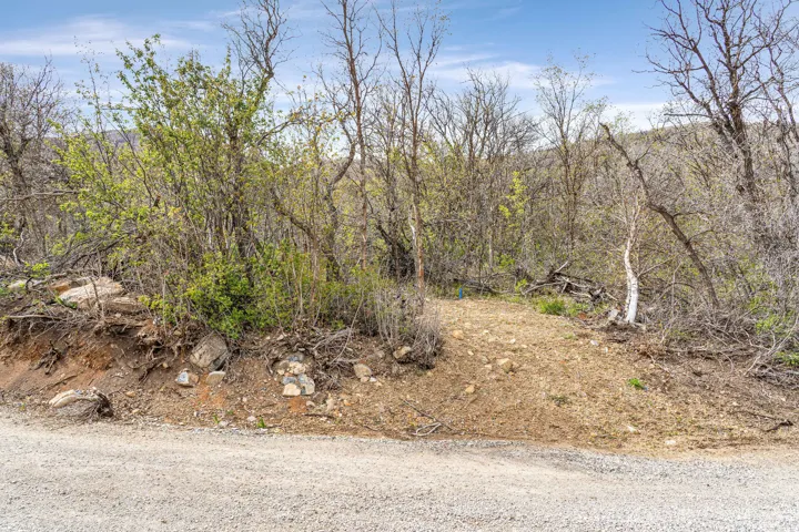 Wooded lot with natural rock formations, mature trees, and varying terrain