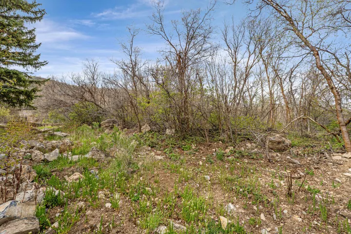 Natural landscape featuring varied terrain with exposed rock formations and mature deciduous trees