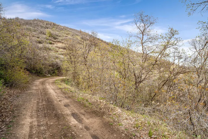 Winding dirt road ascending a hillside