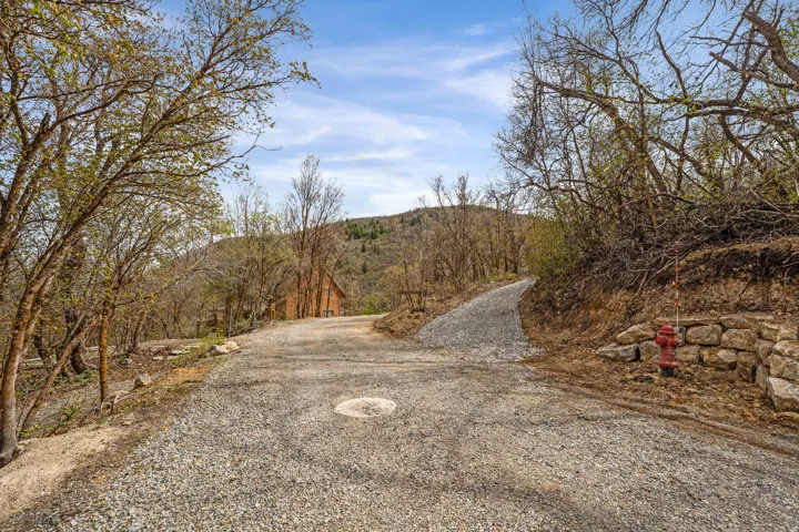 Gravel driveway offering access to a wooded property with a distant timber-clad structure